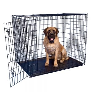 Grreat Choice® Double Door Wire Dog Crate, 54″